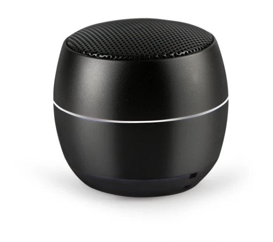 Portable Wireless Speaker