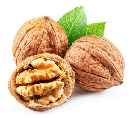 আখরোট