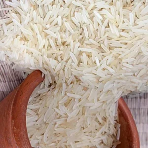 BASMOTI CHAL XXL